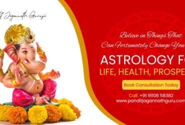 Consult Our Astrologer Pandit Jagannath Guru for best solutions & remedies