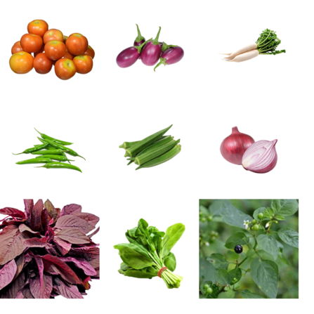 High Quaity Vegetable Seeds Online in India