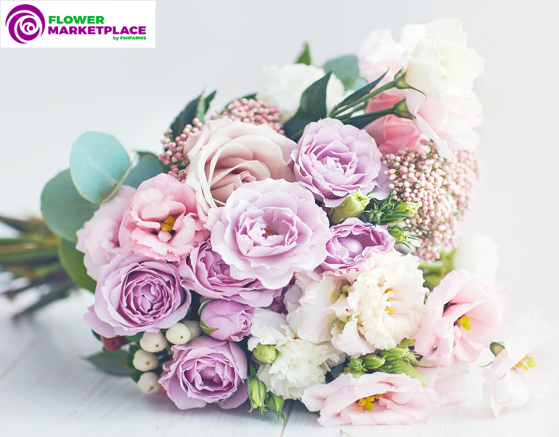 Order wholesale flowers online from wholesale florist- Flower Marketplace