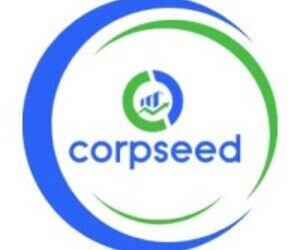 Seamless Global Expansion: Corpseed's Free Sale Certificate Service