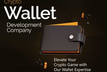 Top-notch crypto wallet development – Block Sentinels